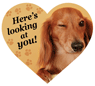Here's Looking at you!
