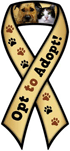 Opt to Adopt
