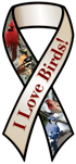 I love Birds!