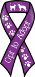 Opt to Adopt
