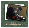 Keep them safe God, for in you they take refuge.